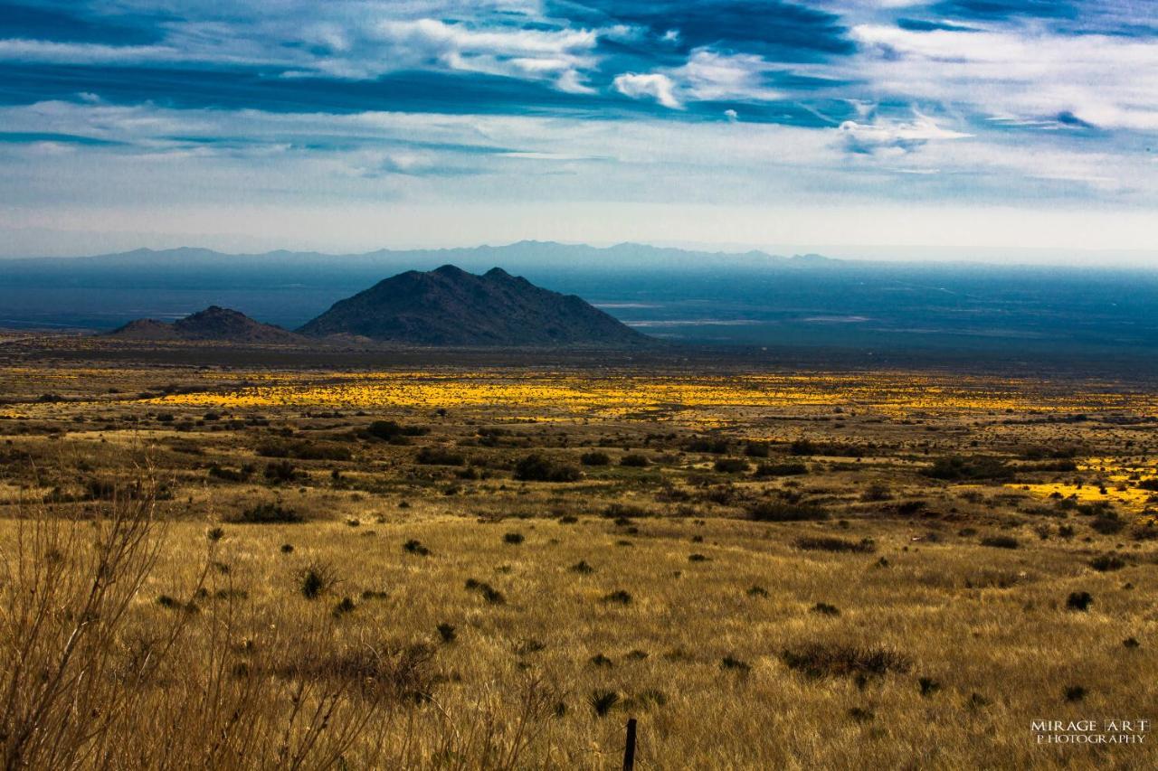 The Perfect Place . . . Here It Is! Las Cruces Exterior foto